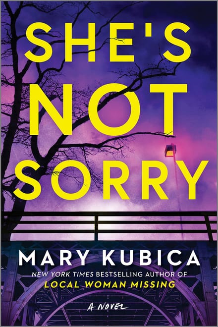 Cover of She's Not Sorry by Mary Kubica