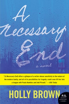 Cover of A Necessary End by Holly Brown