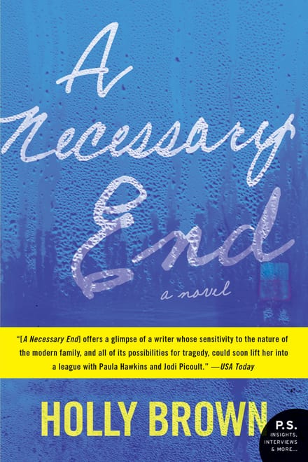 Cover of A Necessary End by Holly Brown