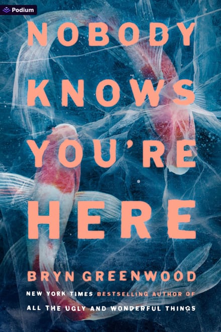 Cover of Nobody Knows You're Here by Bryn Greenwood