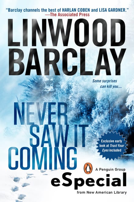 Cover of Never Saw it Coming by Linwood Barclay