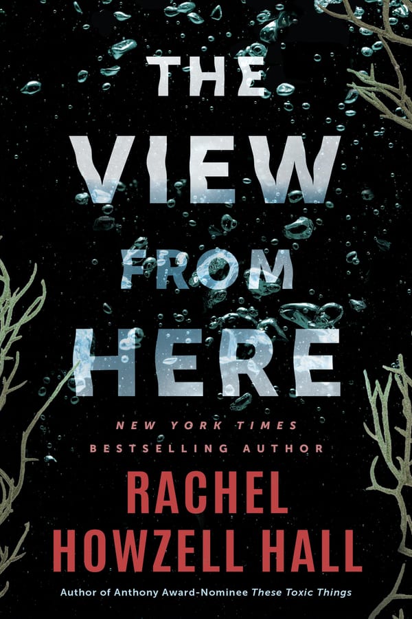Cover of The View from Here by Rachel Howzell Hall